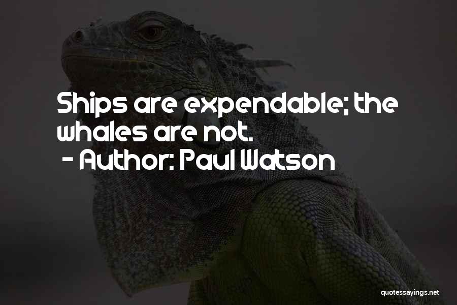 Paul Watson Quotes: Ships Are Expendable; The Whales Are Not.