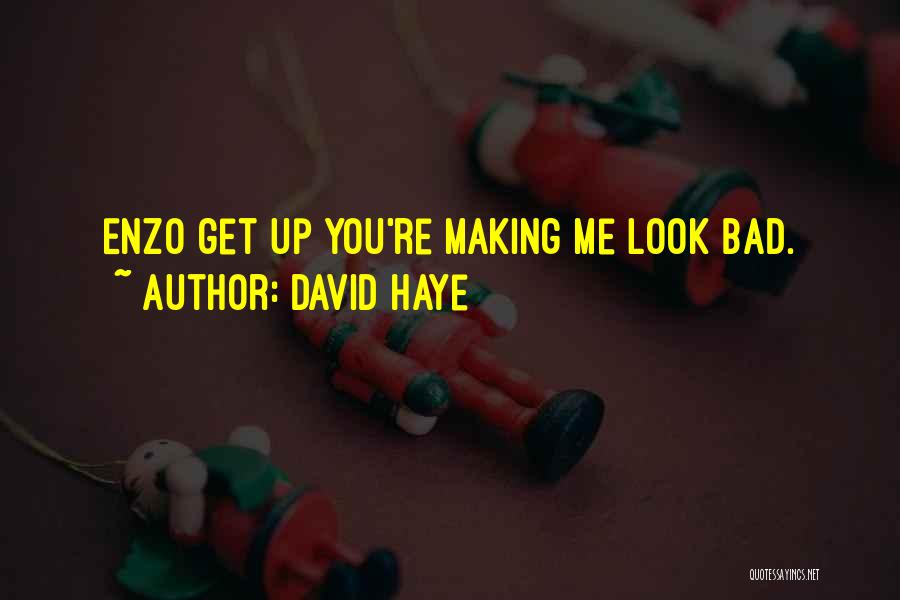 David Haye Quotes: Enzo Get Up You're Making Me Look Bad.