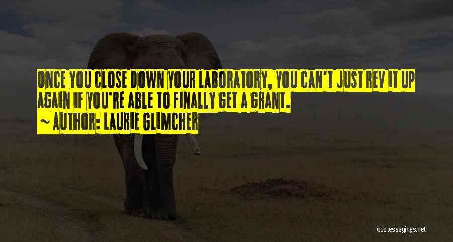 Laurie Glimcher Quotes: Once You Close Down Your Laboratory, You Can't Just Rev It Up Again If You're Able To Finally Get A