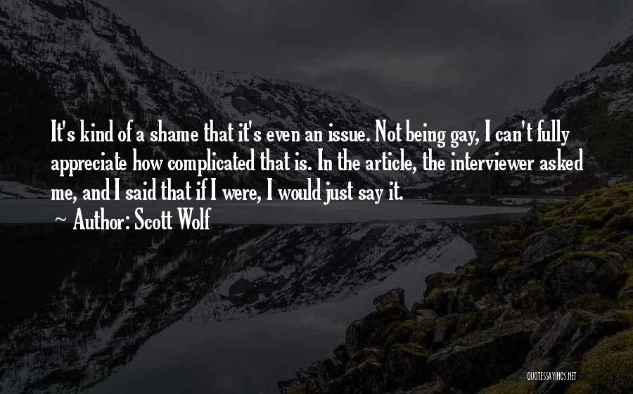 Scott Wolf Quotes: It's Kind Of A Shame That It's Even An Issue. Not Being Gay, I Can't Fully Appreciate How Complicated That