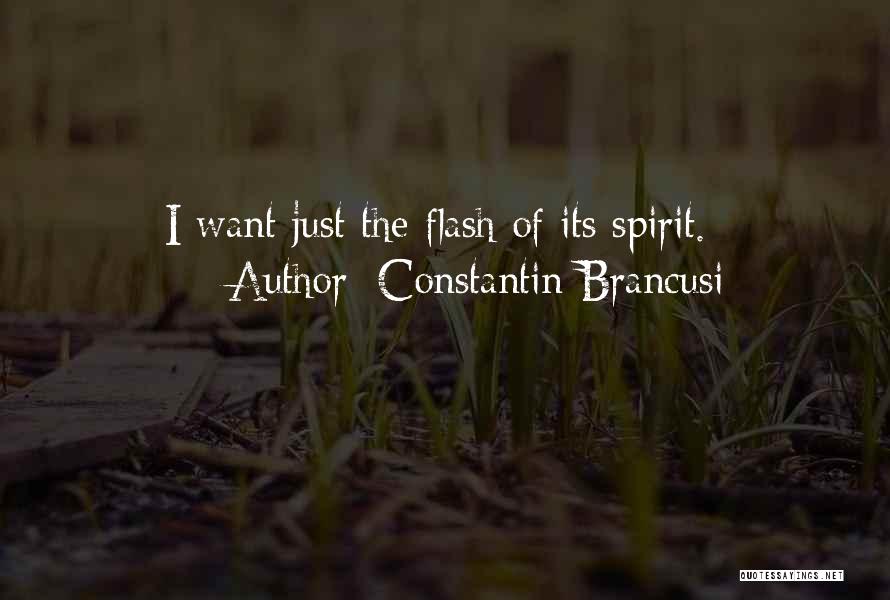 Constantin Brancusi Quotes: I Want Just The Flash Of Its Spirit.