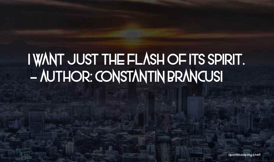 Constantin Brancusi Quotes: I Want Just The Flash Of Its Spirit.