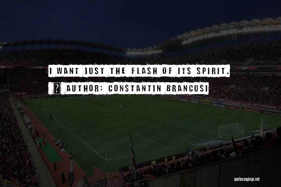 Constantin Brancusi Quotes: I Want Just The Flash Of Its Spirit.