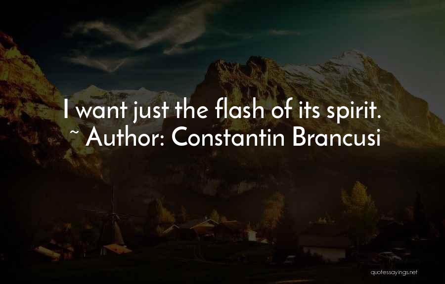 Constantin Brancusi Quotes: I Want Just The Flash Of Its Spirit.