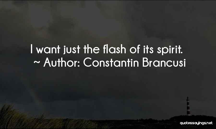 Constantin Brancusi Quotes: I Want Just The Flash Of Its Spirit.