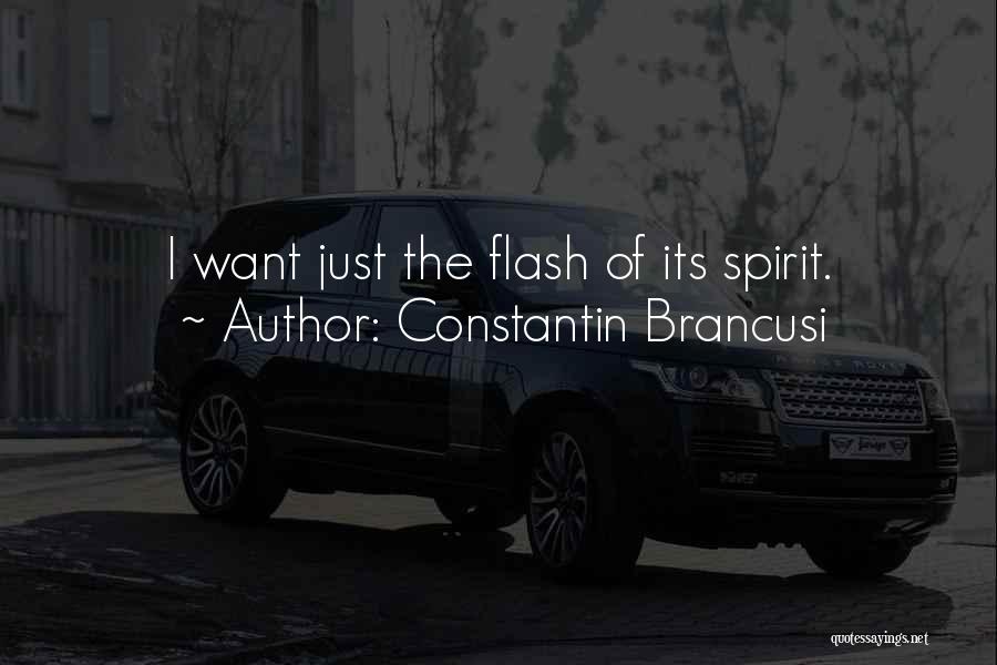 Constantin Brancusi Quotes: I Want Just The Flash Of Its Spirit.