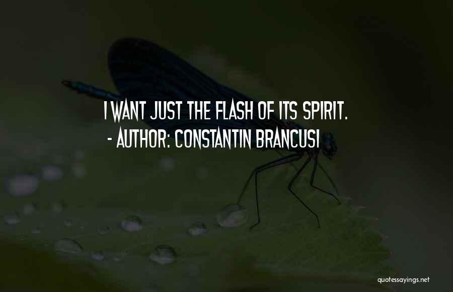 Constantin Brancusi Quotes: I Want Just The Flash Of Its Spirit.