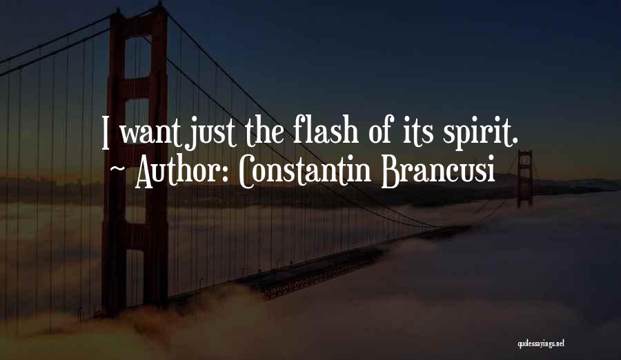 Constantin Brancusi Quotes: I Want Just The Flash Of Its Spirit.