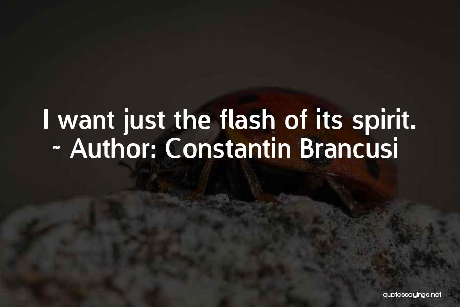 Constantin Brancusi Quotes: I Want Just The Flash Of Its Spirit.