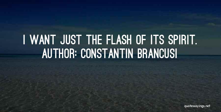 Constantin Brancusi Quotes: I Want Just The Flash Of Its Spirit.