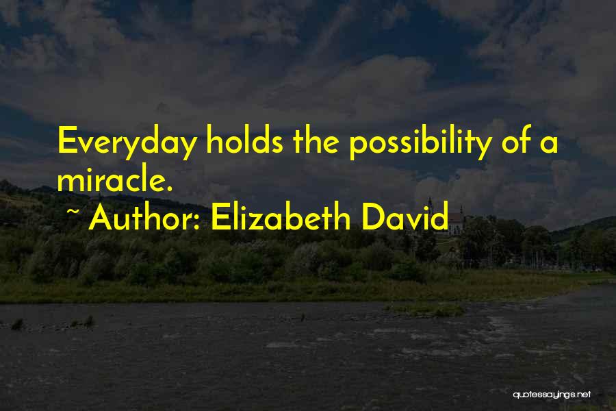 Elizabeth David Quotes: Everyday Holds The Possibility Of A Miracle.