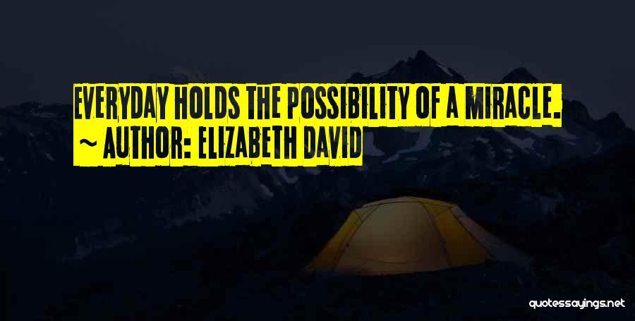 Elizabeth David Quotes: Everyday Holds The Possibility Of A Miracle.