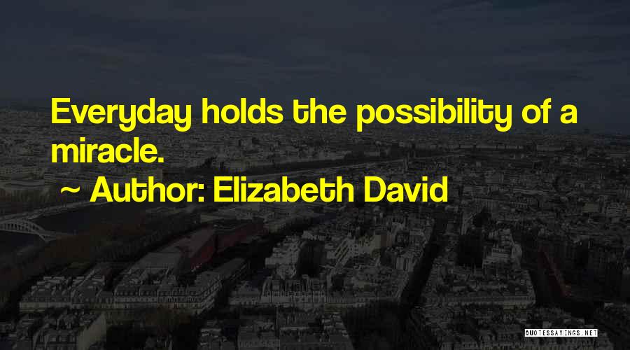 Elizabeth David Quotes: Everyday Holds The Possibility Of A Miracle.