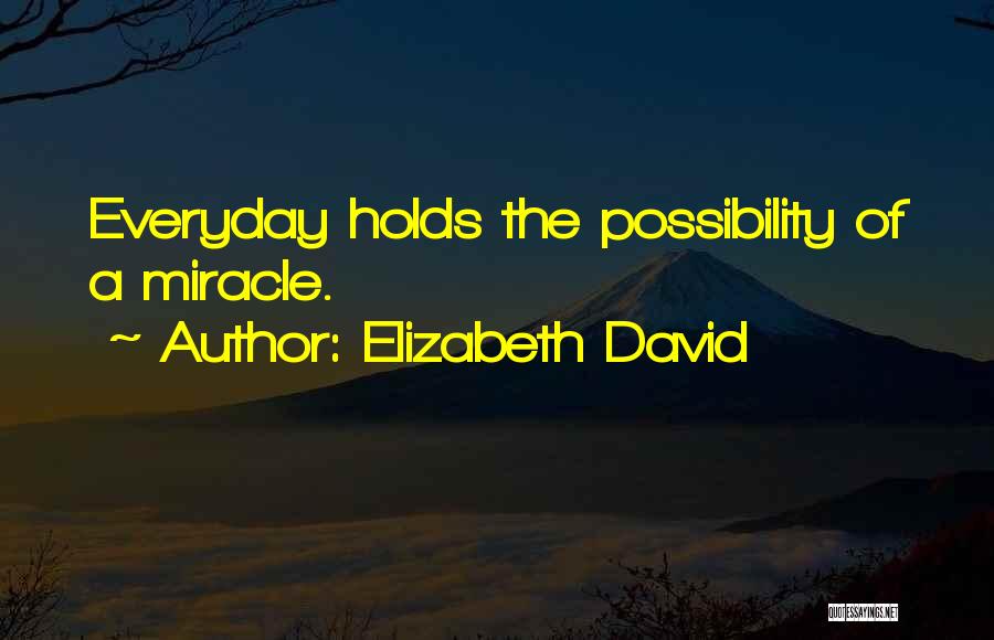 Elizabeth David Quotes: Everyday Holds The Possibility Of A Miracle.