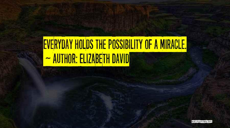 Elizabeth David Quotes: Everyday Holds The Possibility Of A Miracle.