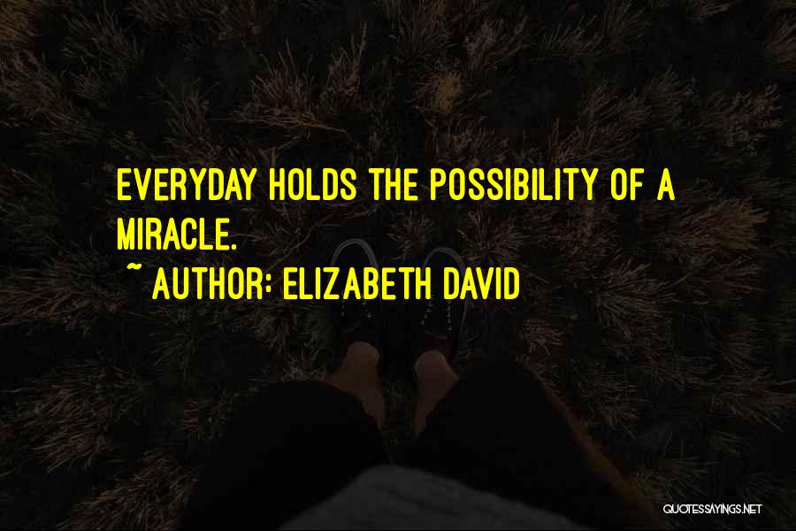 Elizabeth David Quotes: Everyday Holds The Possibility Of A Miracle.