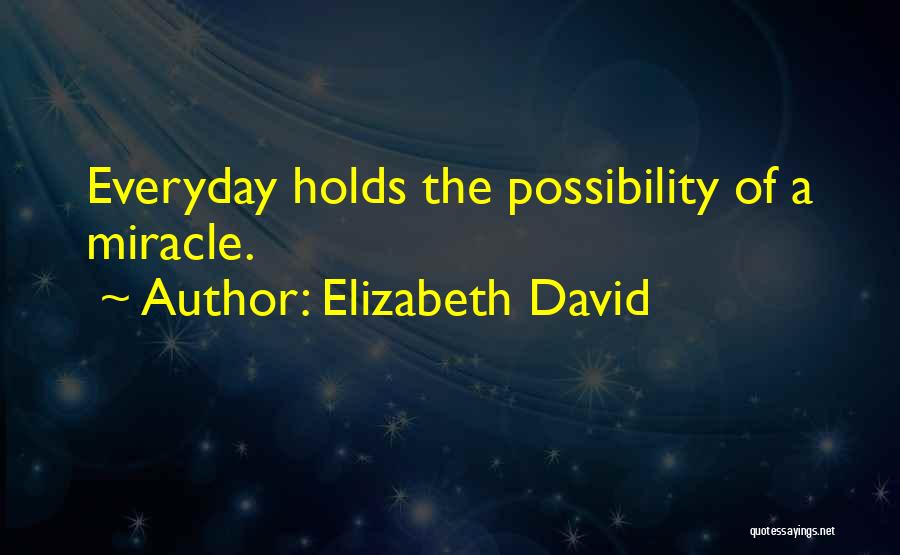 Elizabeth David Quotes: Everyday Holds The Possibility Of A Miracle.