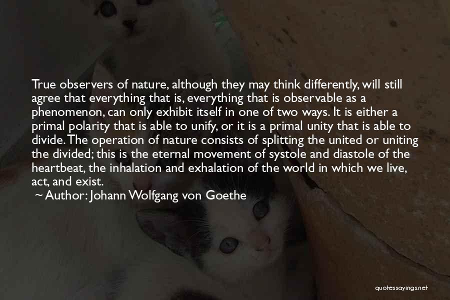 Johann Wolfgang Von Goethe Quotes: True Observers Of Nature, Although They May Think Differently, Will Still Agree That Everything That Is, Everything That Is Observable