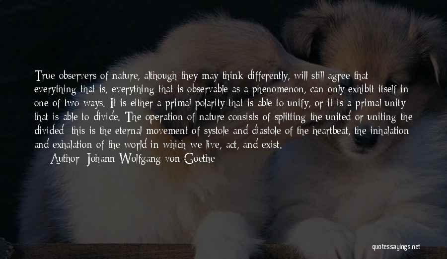 Johann Wolfgang Von Goethe Quotes: True Observers Of Nature, Although They May Think Differently, Will Still Agree That Everything That Is, Everything That Is Observable