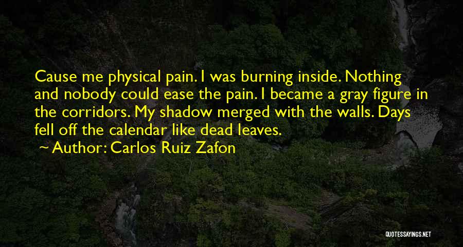 Carlos Ruiz Zafon Quotes: Cause Me Physical Pain. I Was Burning Inside. Nothing And Nobody Could Ease The Pain. I Became A Gray Figure