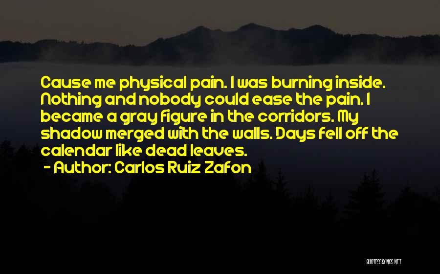 Carlos Ruiz Zafon Quotes: Cause Me Physical Pain. I Was Burning Inside. Nothing And Nobody Could Ease The Pain. I Became A Gray Figure