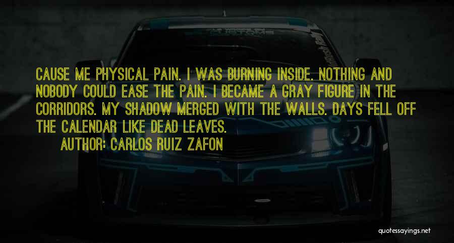 Carlos Ruiz Zafon Quotes: Cause Me Physical Pain. I Was Burning Inside. Nothing And Nobody Could Ease The Pain. I Became A Gray Figure