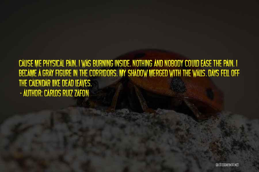 Carlos Ruiz Zafon Quotes: Cause Me Physical Pain. I Was Burning Inside. Nothing And Nobody Could Ease The Pain. I Became A Gray Figure