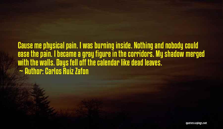 Carlos Ruiz Zafon Quotes: Cause Me Physical Pain. I Was Burning Inside. Nothing And Nobody Could Ease The Pain. I Became A Gray Figure