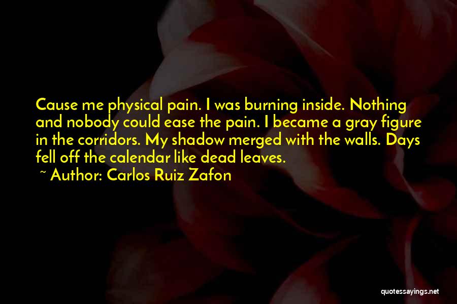 Carlos Ruiz Zafon Quotes: Cause Me Physical Pain. I Was Burning Inside. Nothing And Nobody Could Ease The Pain. I Became A Gray Figure