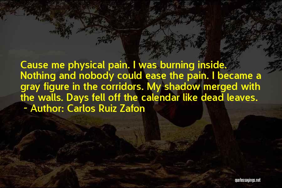 Carlos Ruiz Zafon Quotes: Cause Me Physical Pain. I Was Burning Inside. Nothing And Nobody Could Ease The Pain. I Became A Gray Figure