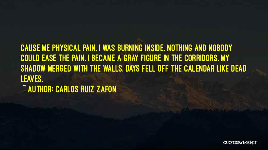 Carlos Ruiz Zafon Quotes: Cause Me Physical Pain. I Was Burning Inside. Nothing And Nobody Could Ease The Pain. I Became A Gray Figure