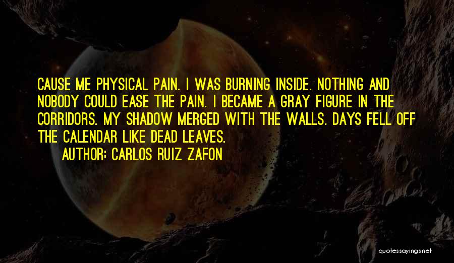 Carlos Ruiz Zafon Quotes: Cause Me Physical Pain. I Was Burning Inside. Nothing And Nobody Could Ease The Pain. I Became A Gray Figure
