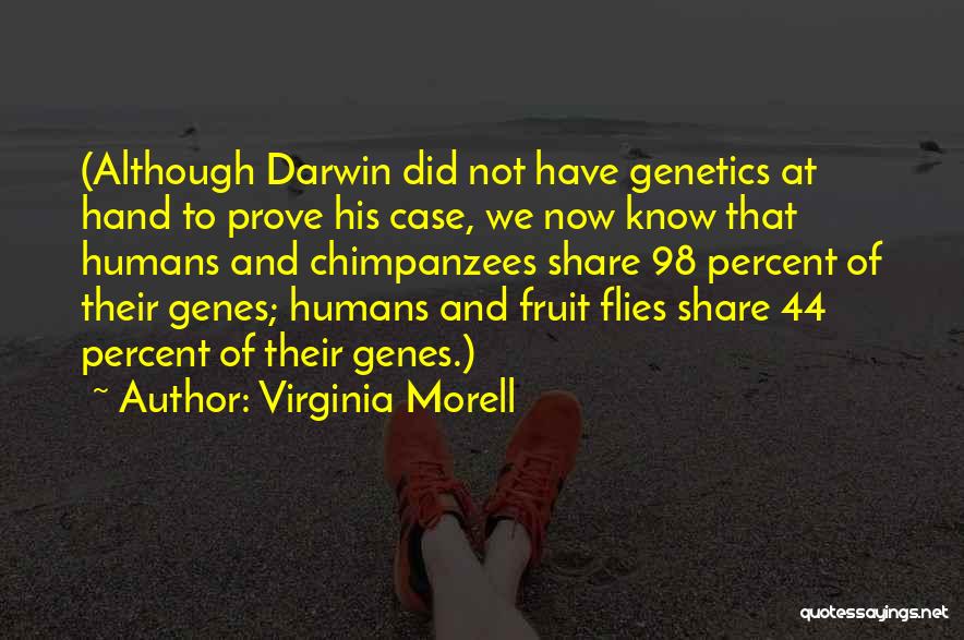 Virginia Morell Quotes: (although Darwin Did Not Have Genetics At Hand To Prove His Case, We Now Know That Humans And Chimpanzees Share