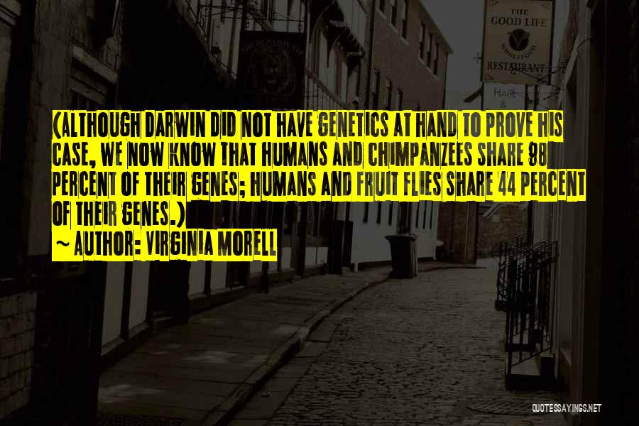 Virginia Morell Quotes: (although Darwin Did Not Have Genetics At Hand To Prove His Case, We Now Know That Humans And Chimpanzees Share