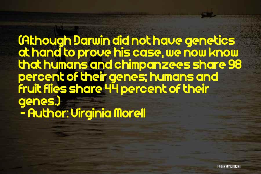Virginia Morell Quotes: (although Darwin Did Not Have Genetics At Hand To Prove His Case, We Now Know That Humans And Chimpanzees Share