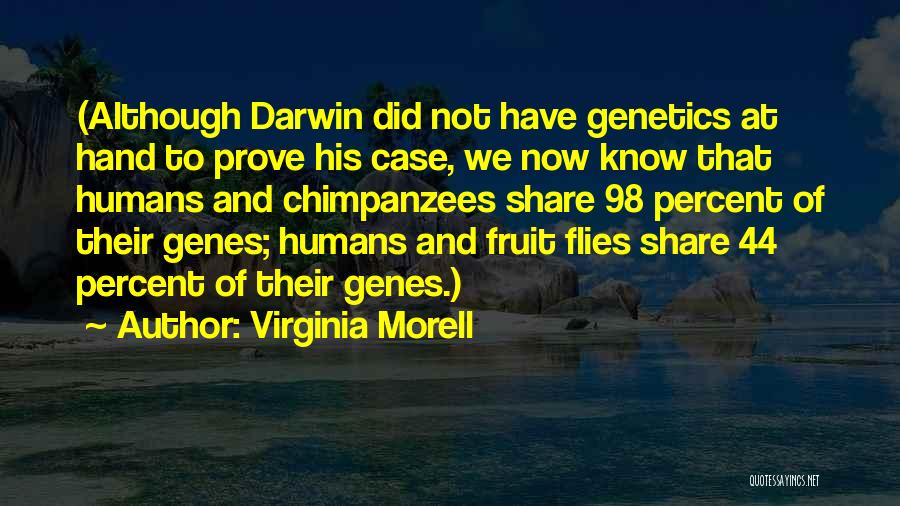 Virginia Morell Quotes: (although Darwin Did Not Have Genetics At Hand To Prove His Case, We Now Know That Humans And Chimpanzees Share