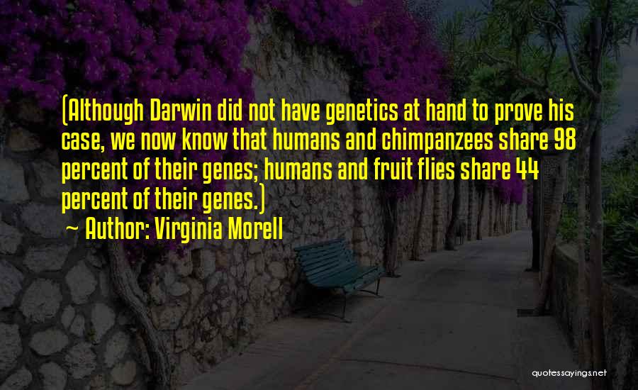 Virginia Morell Quotes: (although Darwin Did Not Have Genetics At Hand To Prove His Case, We Now Know That Humans And Chimpanzees Share