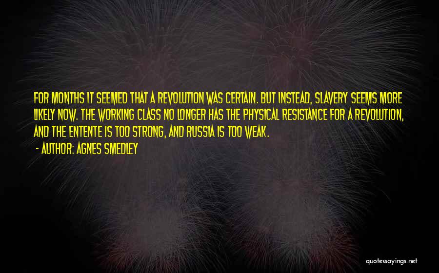 Agnes Smedley Quotes: For Months It Seemed That A Revolution Was Certain. But Instead, Slavery Seems More Likely Now. The Working Class No