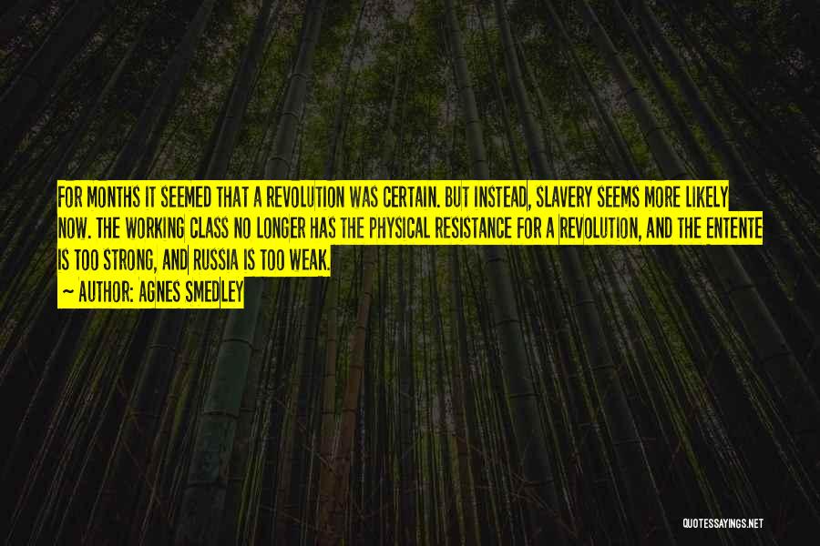 Agnes Smedley Quotes: For Months It Seemed That A Revolution Was Certain. But Instead, Slavery Seems More Likely Now. The Working Class No
