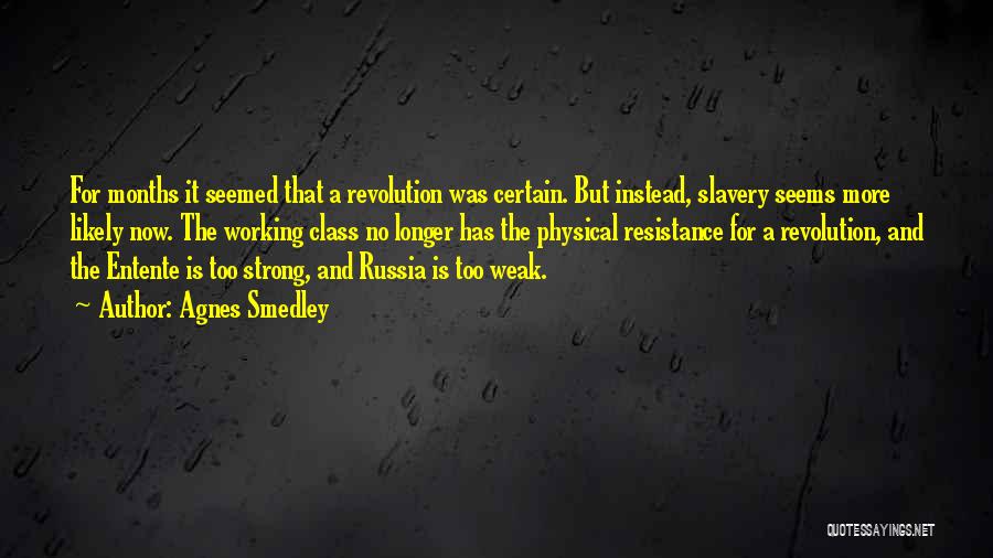 Agnes Smedley Quotes: For Months It Seemed That A Revolution Was Certain. But Instead, Slavery Seems More Likely Now. The Working Class No