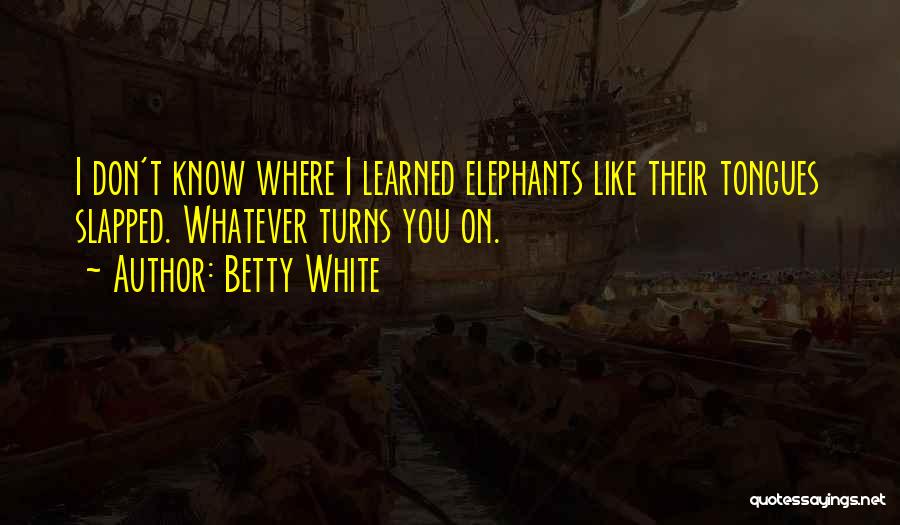 Betty White Quotes: I Don't Know Where I Learned Elephants Like Their Tongues Slapped. Whatever Turns You On.