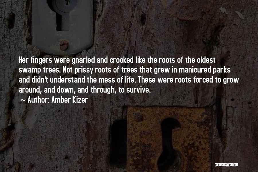 Amber Kizer Quotes: Her Fingers Were Gnarled And Crooked Like The Roots Of The Oldest Swamp Trees. Not Prissy Roots Of Trees That