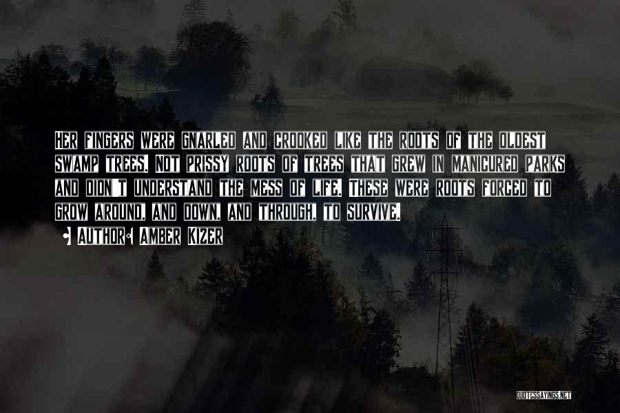 Amber Kizer Quotes: Her Fingers Were Gnarled And Crooked Like The Roots Of The Oldest Swamp Trees. Not Prissy Roots Of Trees That