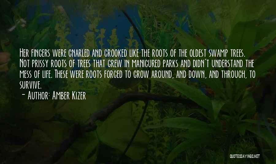 Amber Kizer Quotes: Her Fingers Were Gnarled And Crooked Like The Roots Of The Oldest Swamp Trees. Not Prissy Roots Of Trees That