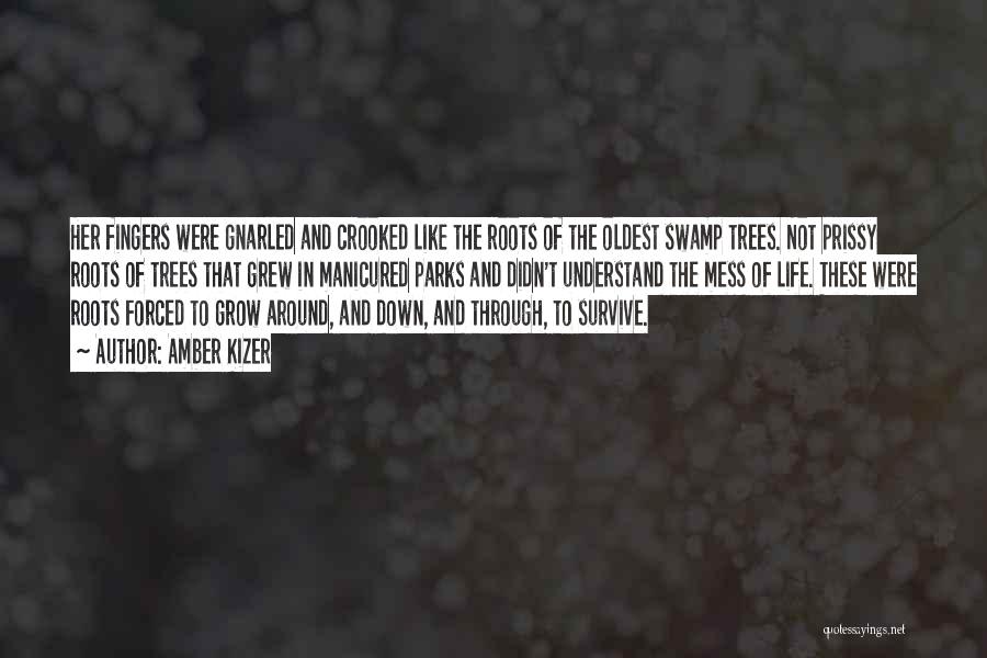 Amber Kizer Quotes: Her Fingers Were Gnarled And Crooked Like The Roots Of The Oldest Swamp Trees. Not Prissy Roots Of Trees That