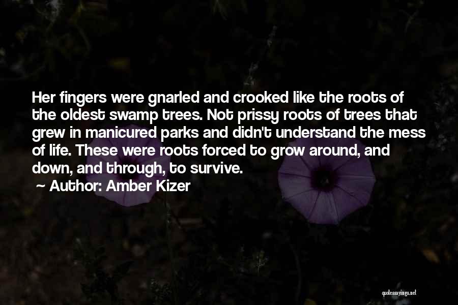 Amber Kizer Quotes: Her Fingers Were Gnarled And Crooked Like The Roots Of The Oldest Swamp Trees. Not Prissy Roots Of Trees That