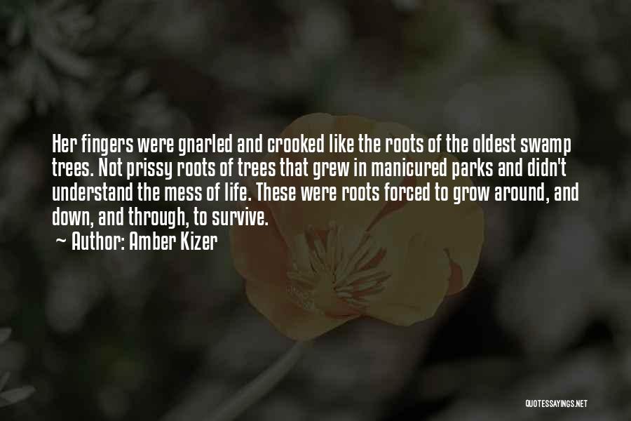 Amber Kizer Quotes: Her Fingers Were Gnarled And Crooked Like The Roots Of The Oldest Swamp Trees. Not Prissy Roots Of Trees That