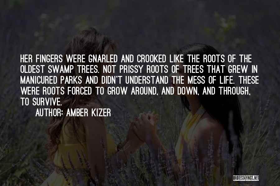 Amber Kizer Quotes: Her Fingers Were Gnarled And Crooked Like The Roots Of The Oldest Swamp Trees. Not Prissy Roots Of Trees That