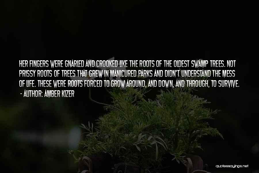 Amber Kizer Quotes: Her Fingers Were Gnarled And Crooked Like The Roots Of The Oldest Swamp Trees. Not Prissy Roots Of Trees That