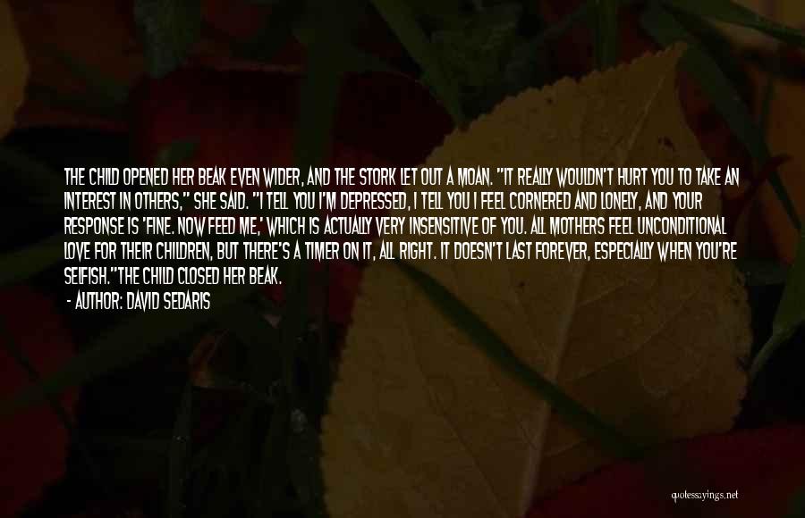 David Sedaris Quotes: The Child Opened Her Beak Even Wider, And The Stork Let Out A Moan. It Really Wouldn't Hurt You To